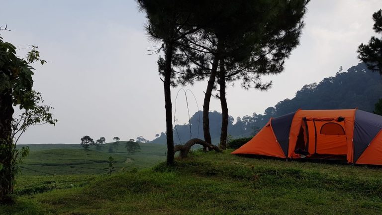 Dosen UI Lakukan Pendampingan Masyarakat dengan Bina ...