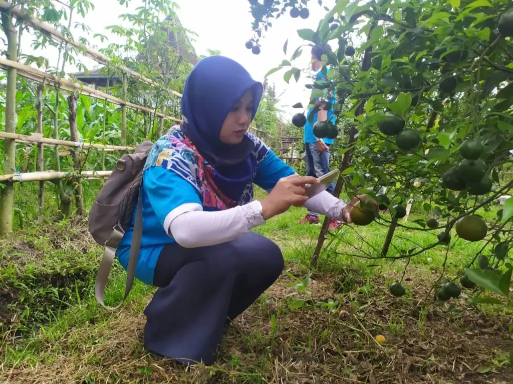 Solehatin, Produktif Menulis Buku Hasil Penelitian untuk Mengimplementasikan Tri Dharma