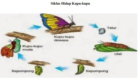 menyusun buku ajar PAUD.