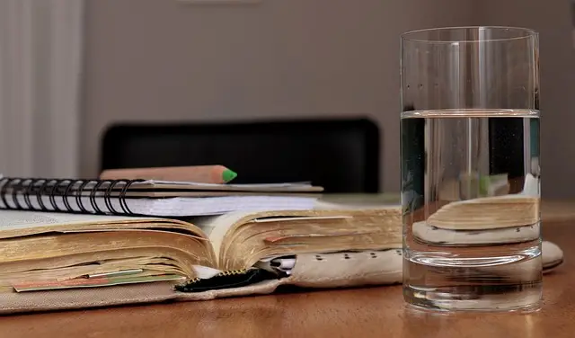 Syarat Tambahan PPPK Dosen