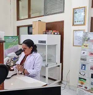 Fransina S. Latumahina sedang melakukan pengamatan di laboratorium
