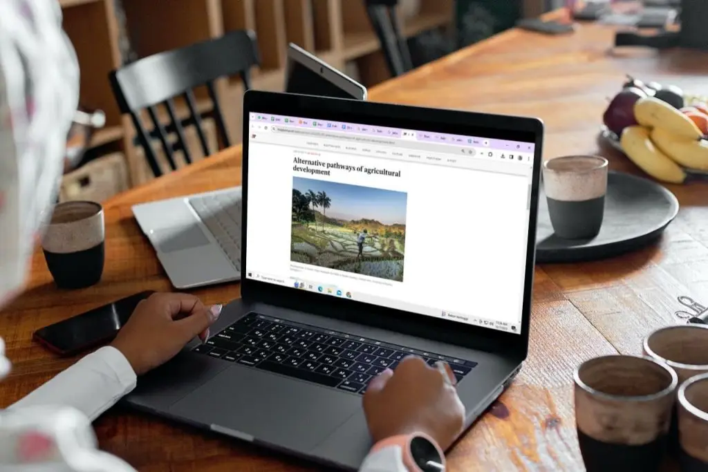 perbedaan artikel dan jurnal