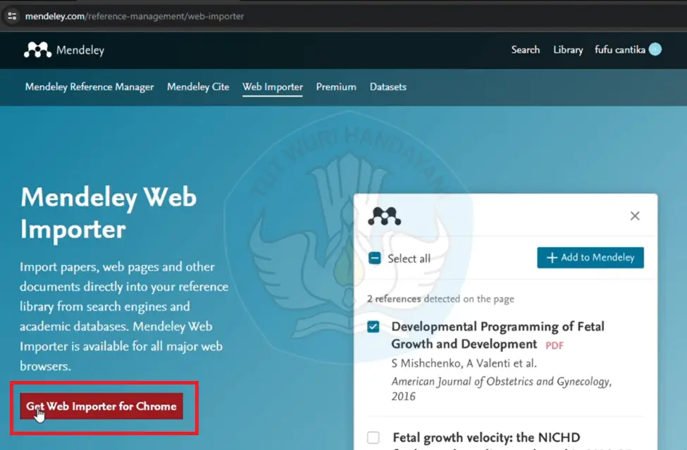 Klik Get Web Importer for Chrome