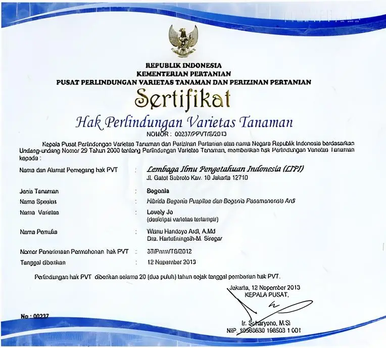 sertifikat hak perlindyngan varietas tanaman