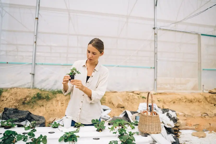 perlindungan varietas tanaman