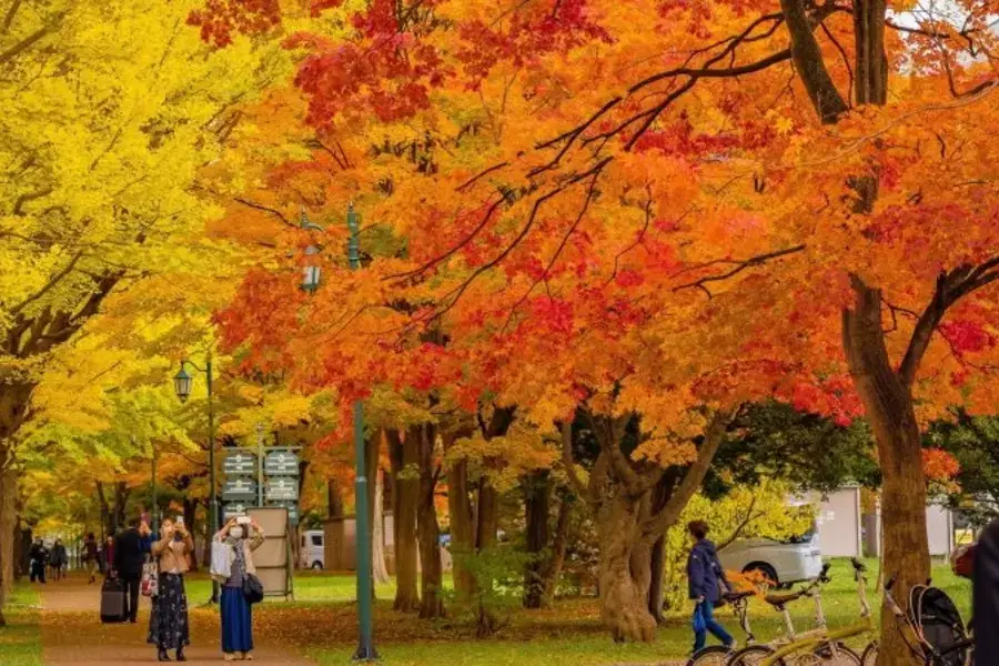 MEXT Hokkaido Scholarship 2026